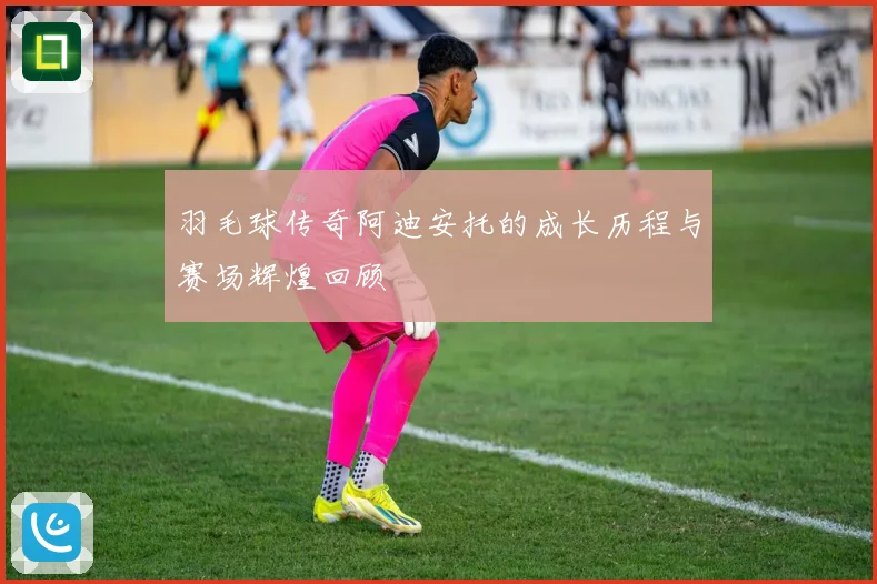 羽毛球传奇阿迪安托的成长历程与赛场辉煌回顾