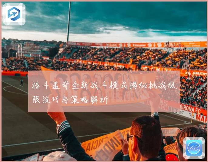 格斗盖奇全新战斗模式揭秘挑战极限技巧与策略解析