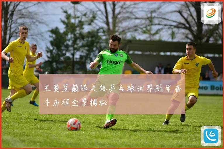 王曼昱巅峰之路乒乓球世界冠军奋斗历程全景揭秘