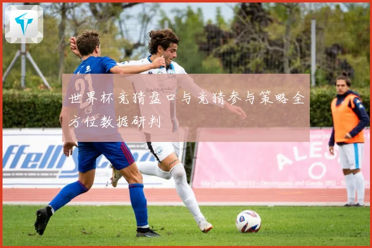 世界杯竞猜盘口与竞猜参与策略全方位数据研判