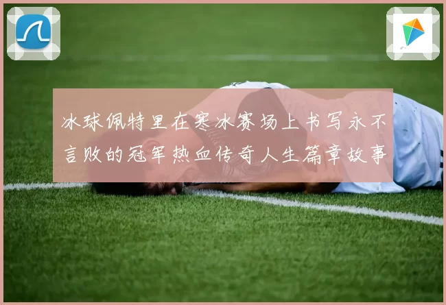 冰球佩特里在寒冰赛场上书写永不言败的冠军热血传奇人生篇章故事