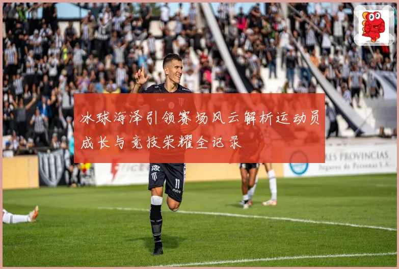 冰球海泽引领赛场风云解析运动员成长与竞技荣耀全记录