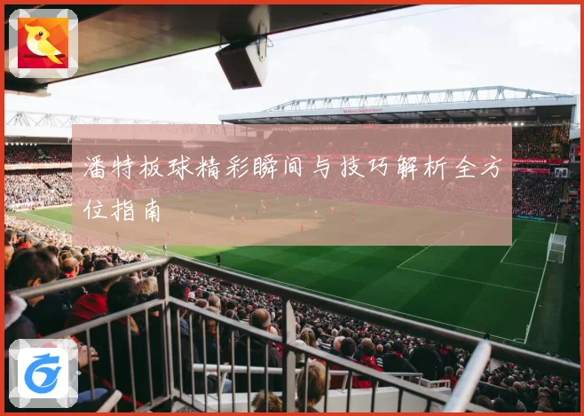 潘特板球精彩瞬间与技巧解析全方位指南