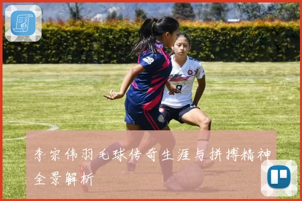 李宗伟羽毛球传奇生涯与拼搏精神全景解析