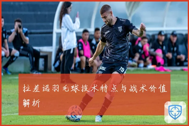 拉差诺羽毛球技术特点与战术价值解析