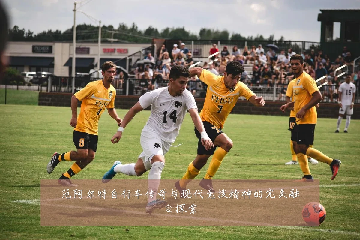 范阿尔特自行车传奇与现代竞技精神的完美融合探索