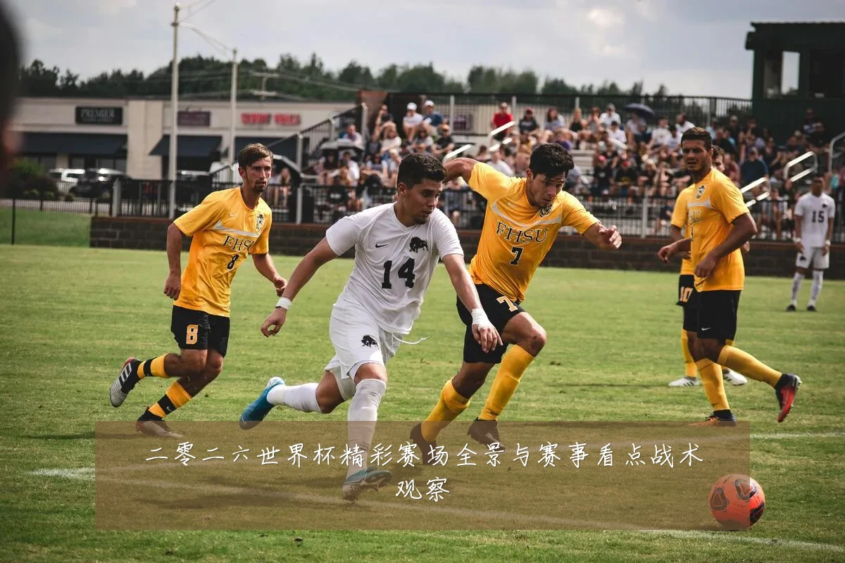 二零二六世界杯精彩赛场全景与赛事看点战术观察