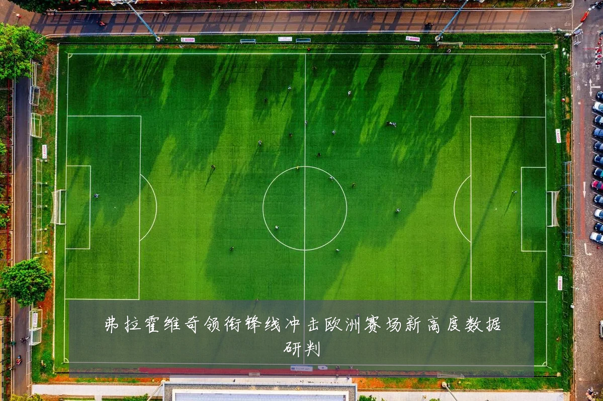 弗拉霍维奇领衔锋线冲击欧洲赛场新高度数据研判